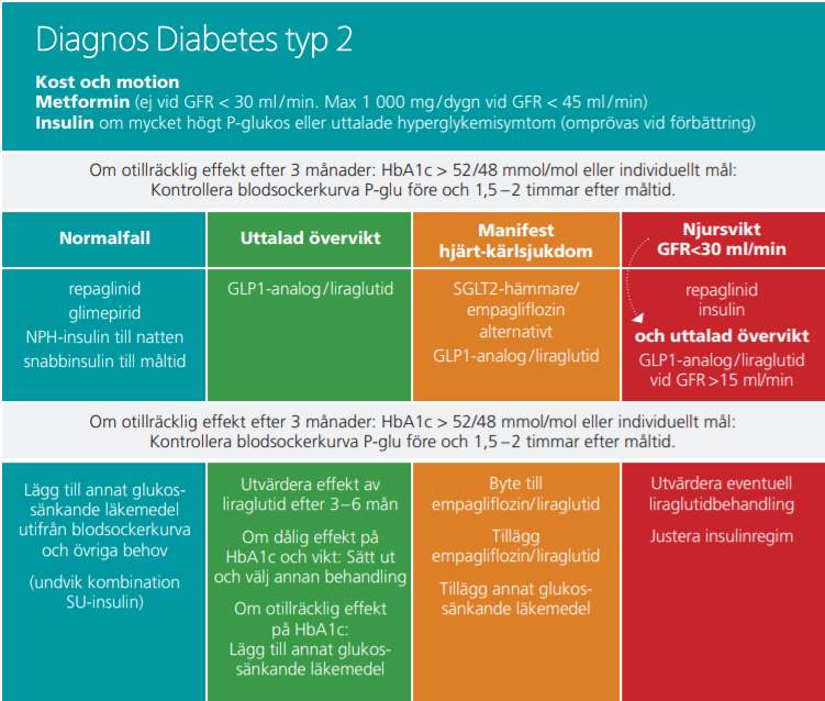 Ett schema för val av diabetesläkemedel vid olika situationer.