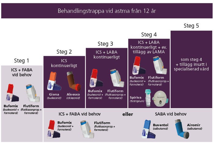 Behandlingstrappa vid astma från 12 år